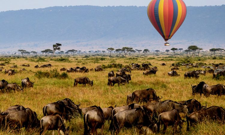 Hot Air Balloon